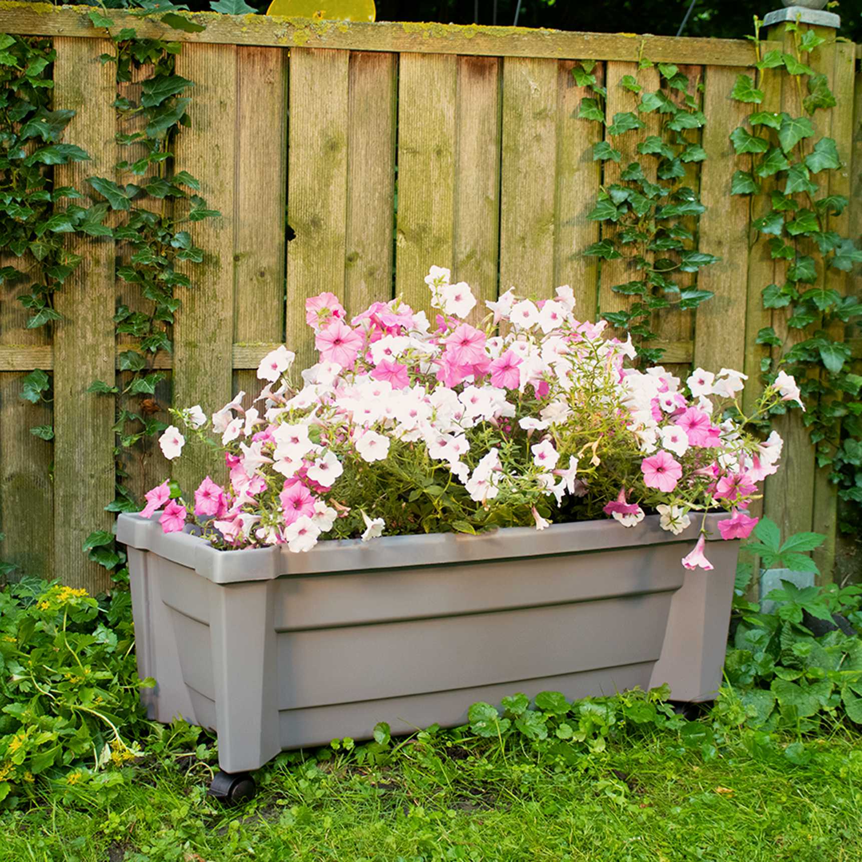 Planter box "Calypso with watering system and wheels