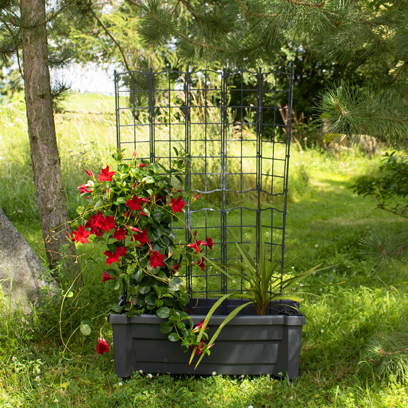 Planter box "Calypso" with watering system, modular trellis and wheels