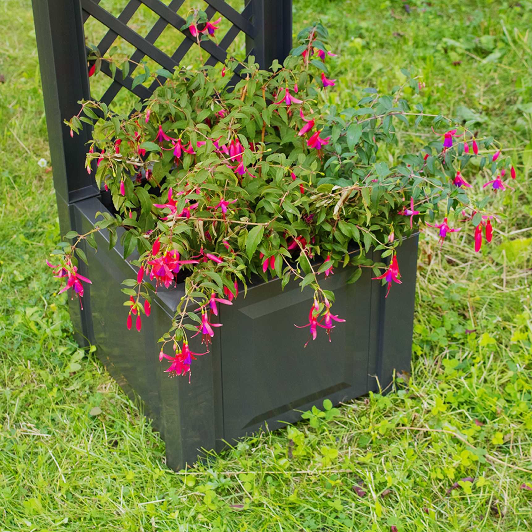 Small planter box with trellis, 43 cm