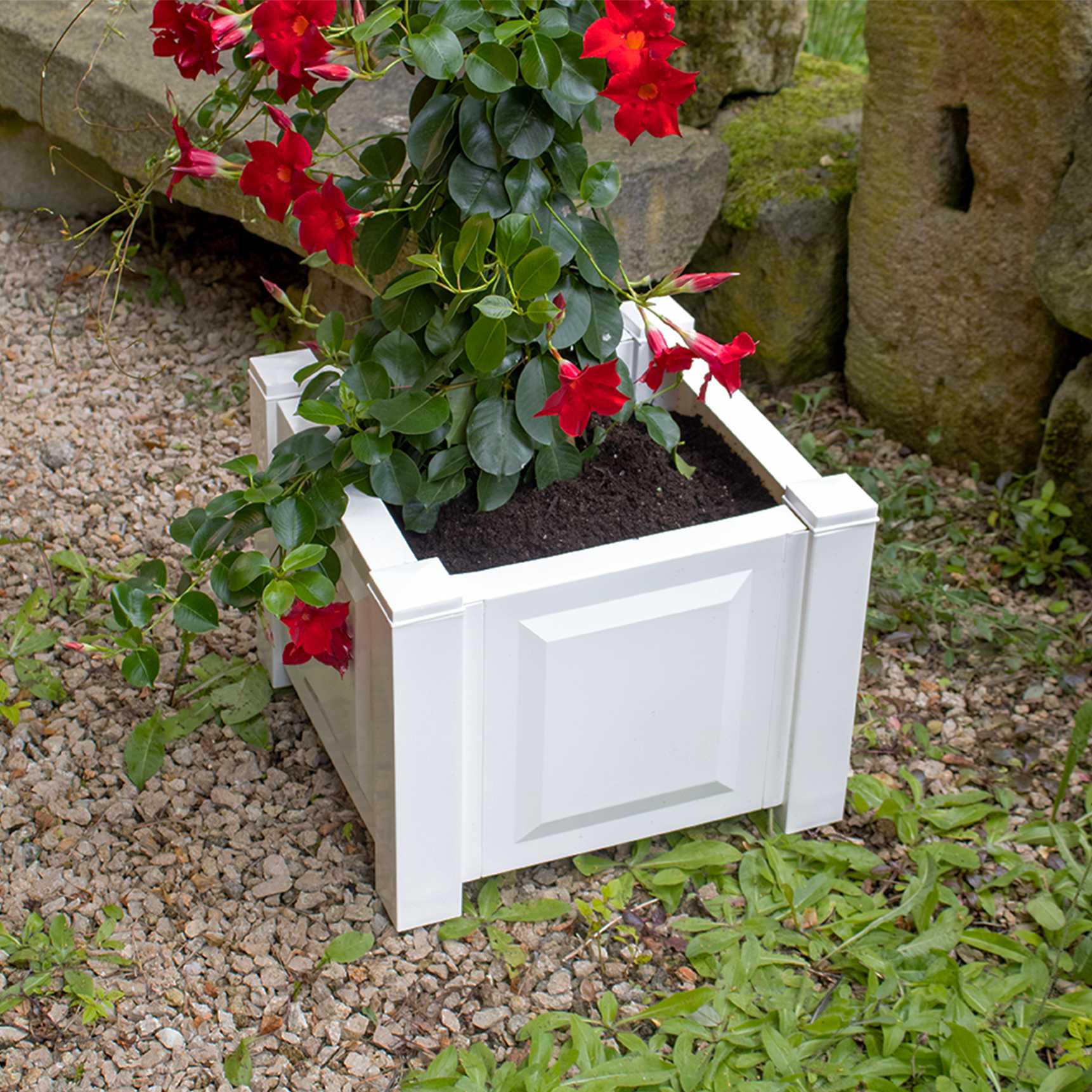 Square planter box