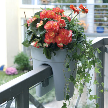 Flowerclip 3er-Set