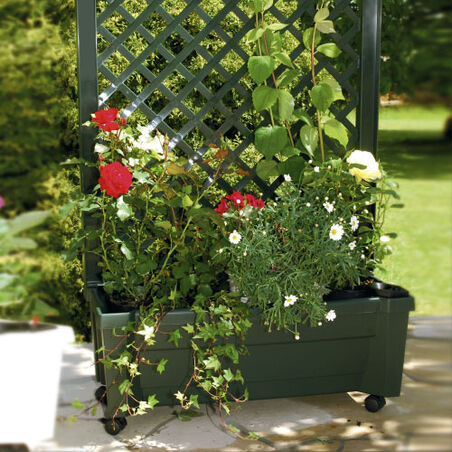 Planter box "Calypso" with watering system, trellis and wheels