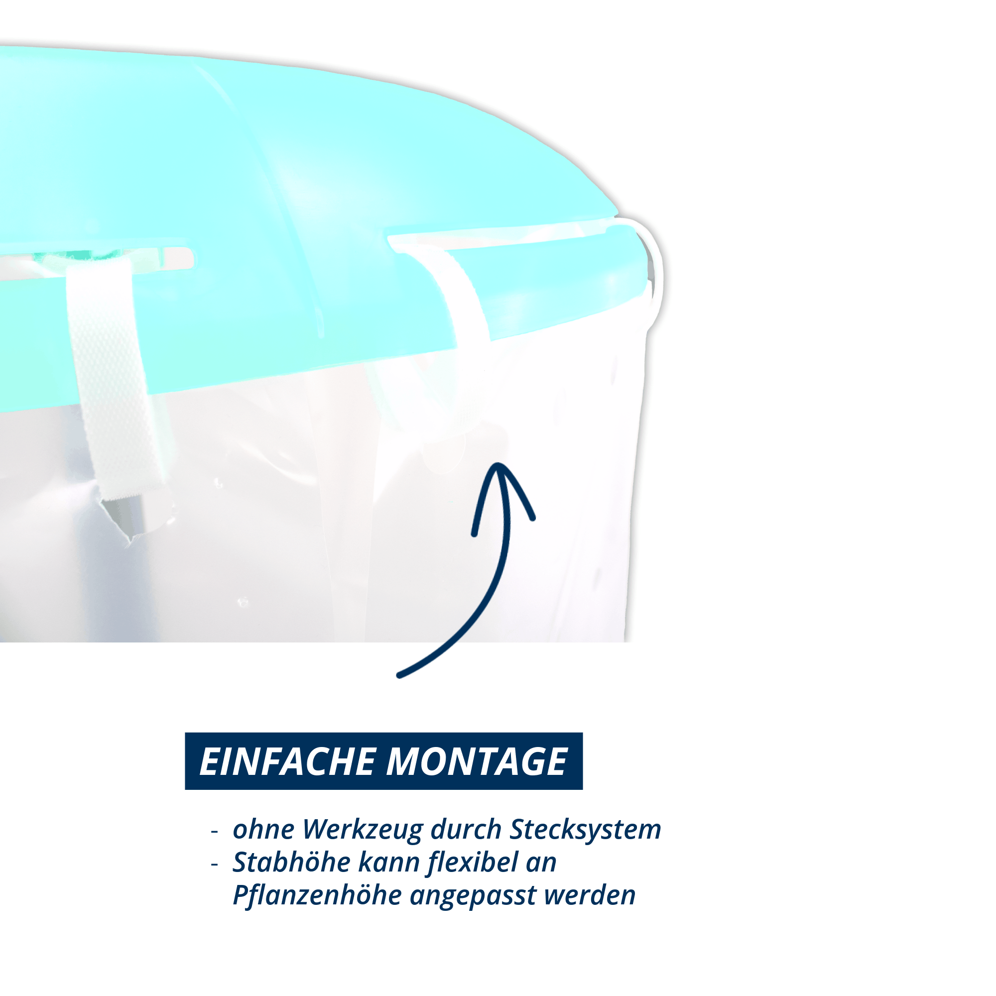 Tomatenhut Tomatenhut