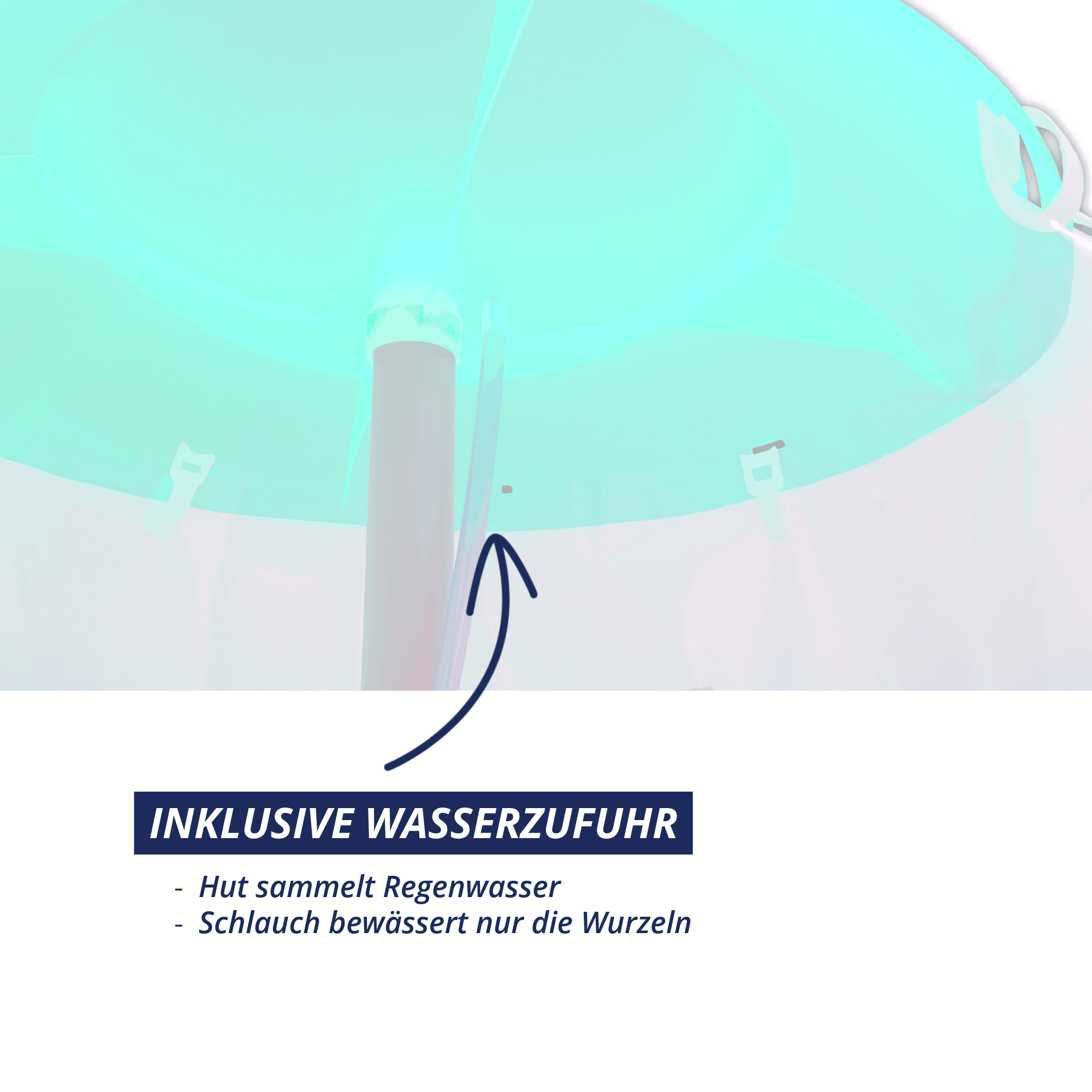 Tomatenhut Tomatenhut