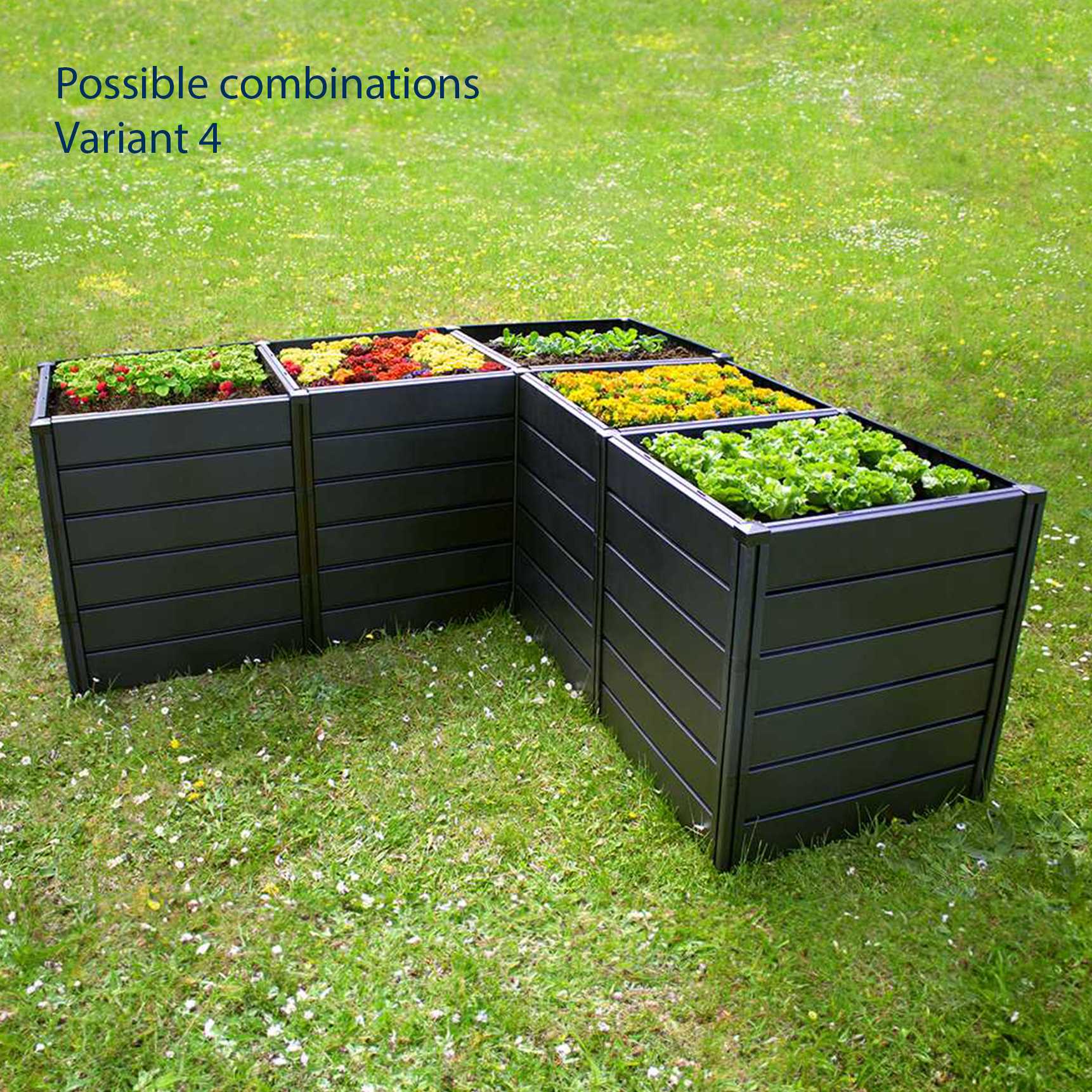 raised bed Demeter