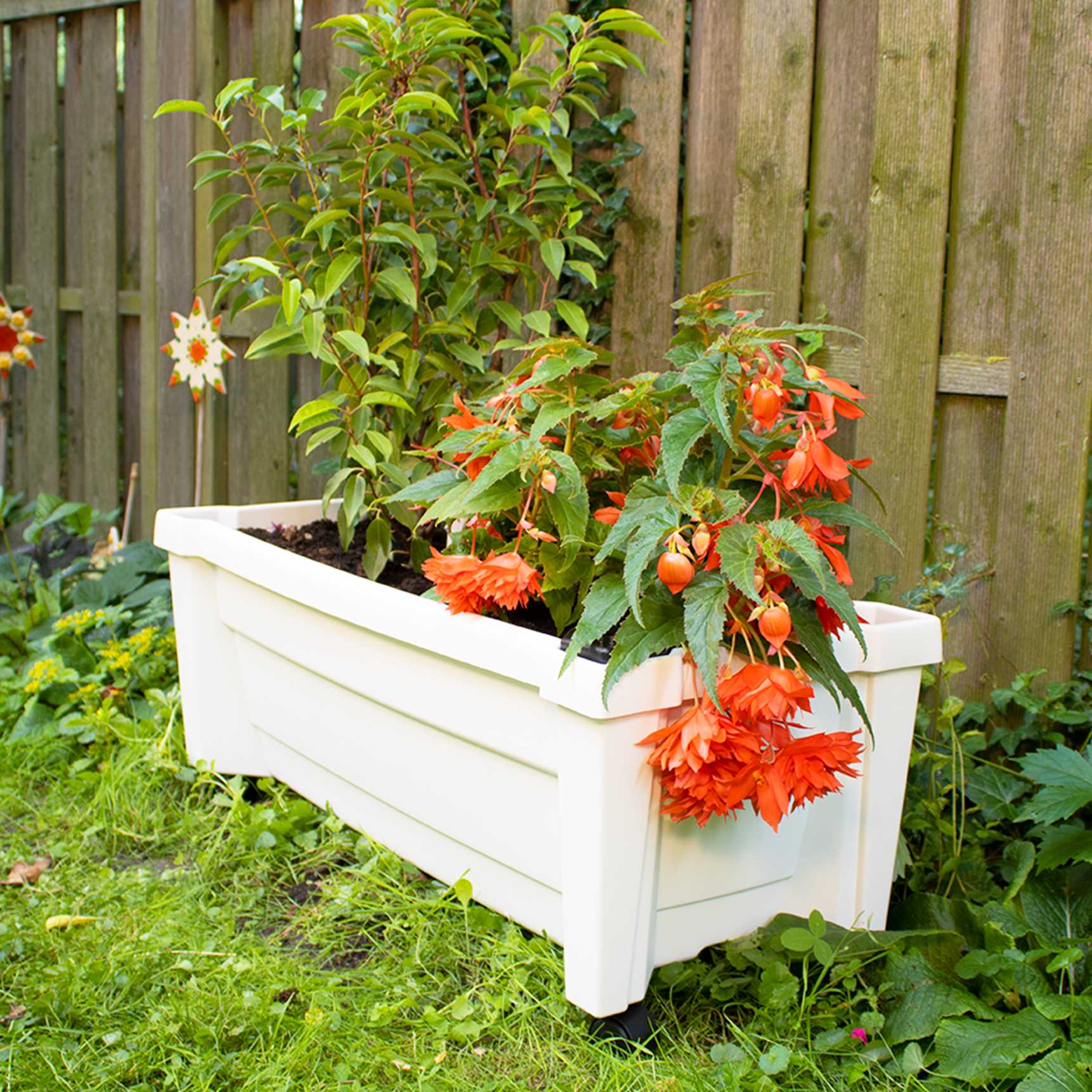 Planter box "Calypso with watering system and wheels