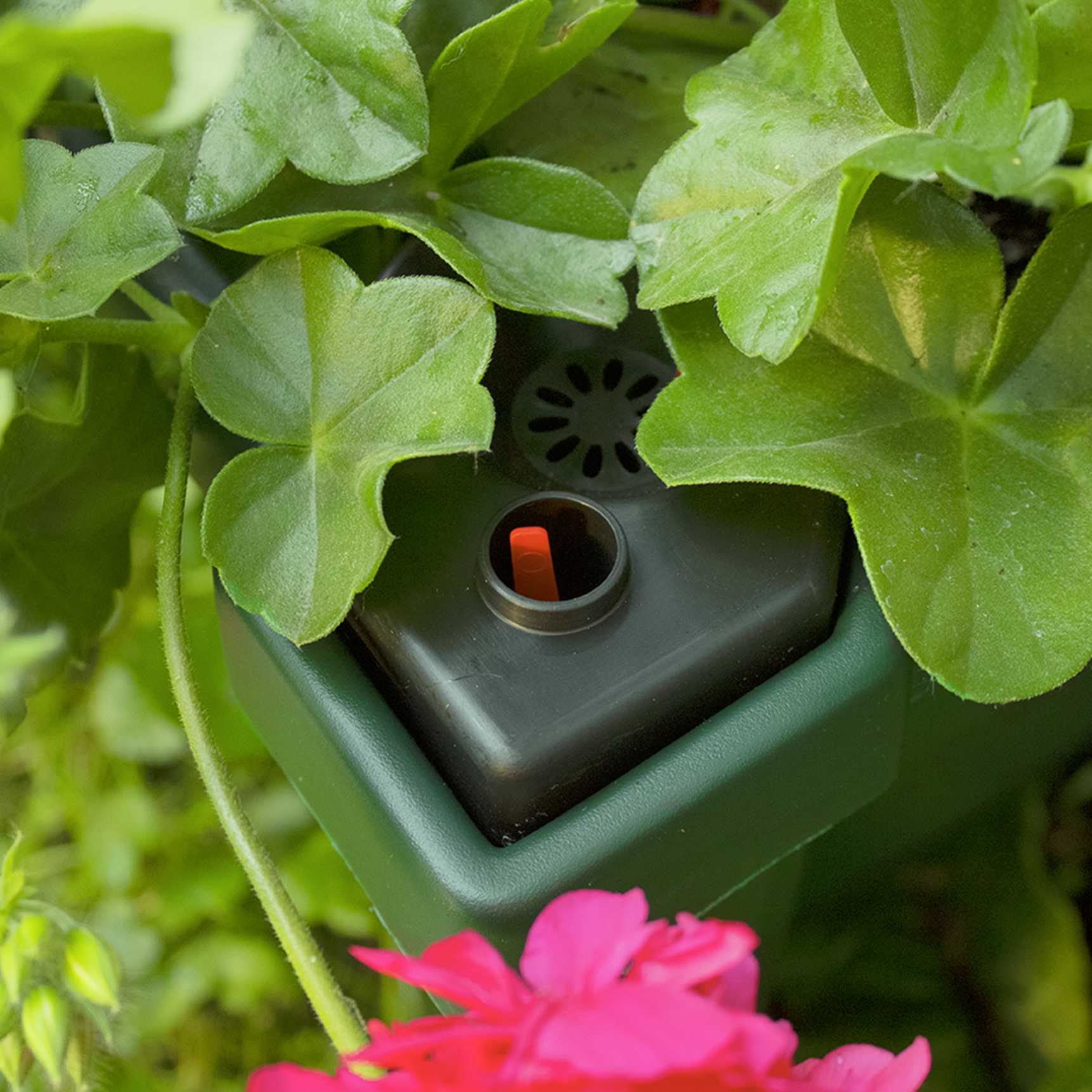 Planter box "Calypso with watering system and wheels