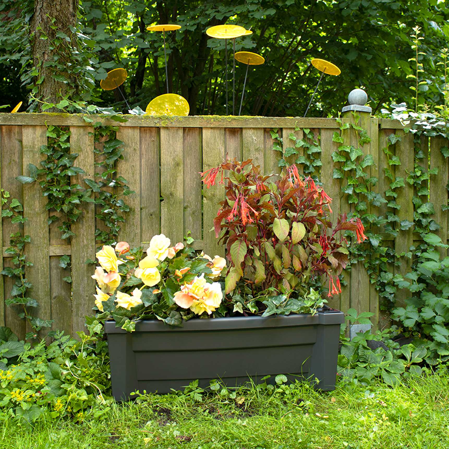 Planter box "Calypso with watering system and wheels