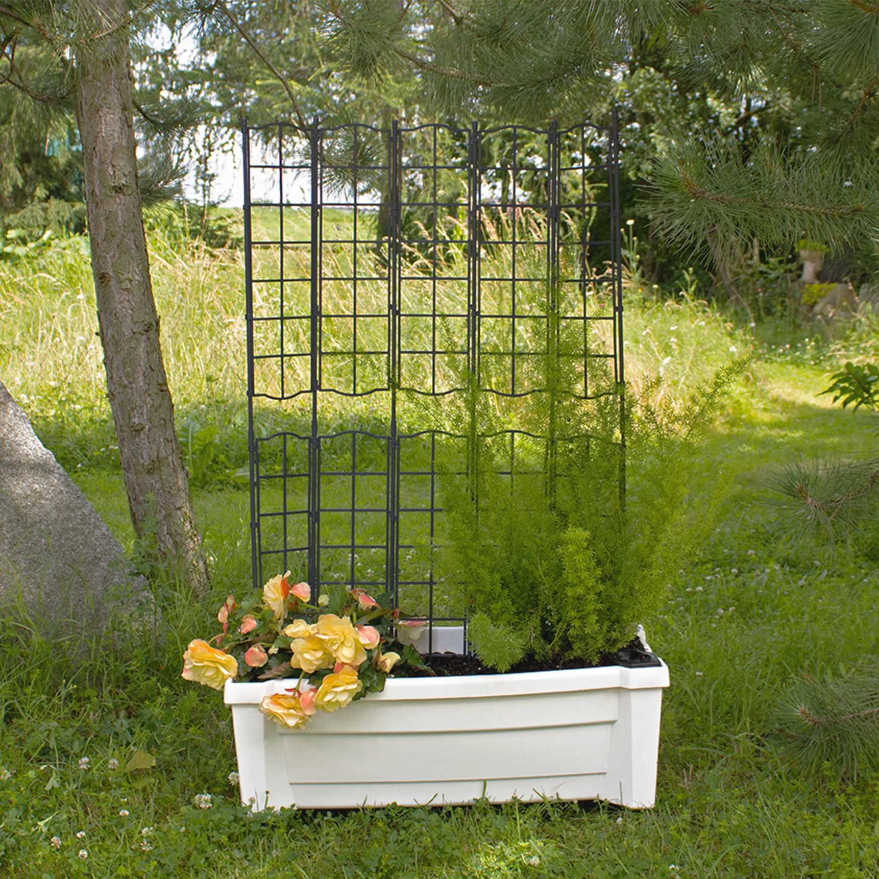 Planter box "Calypso" with watering system, modular trellis and wheels