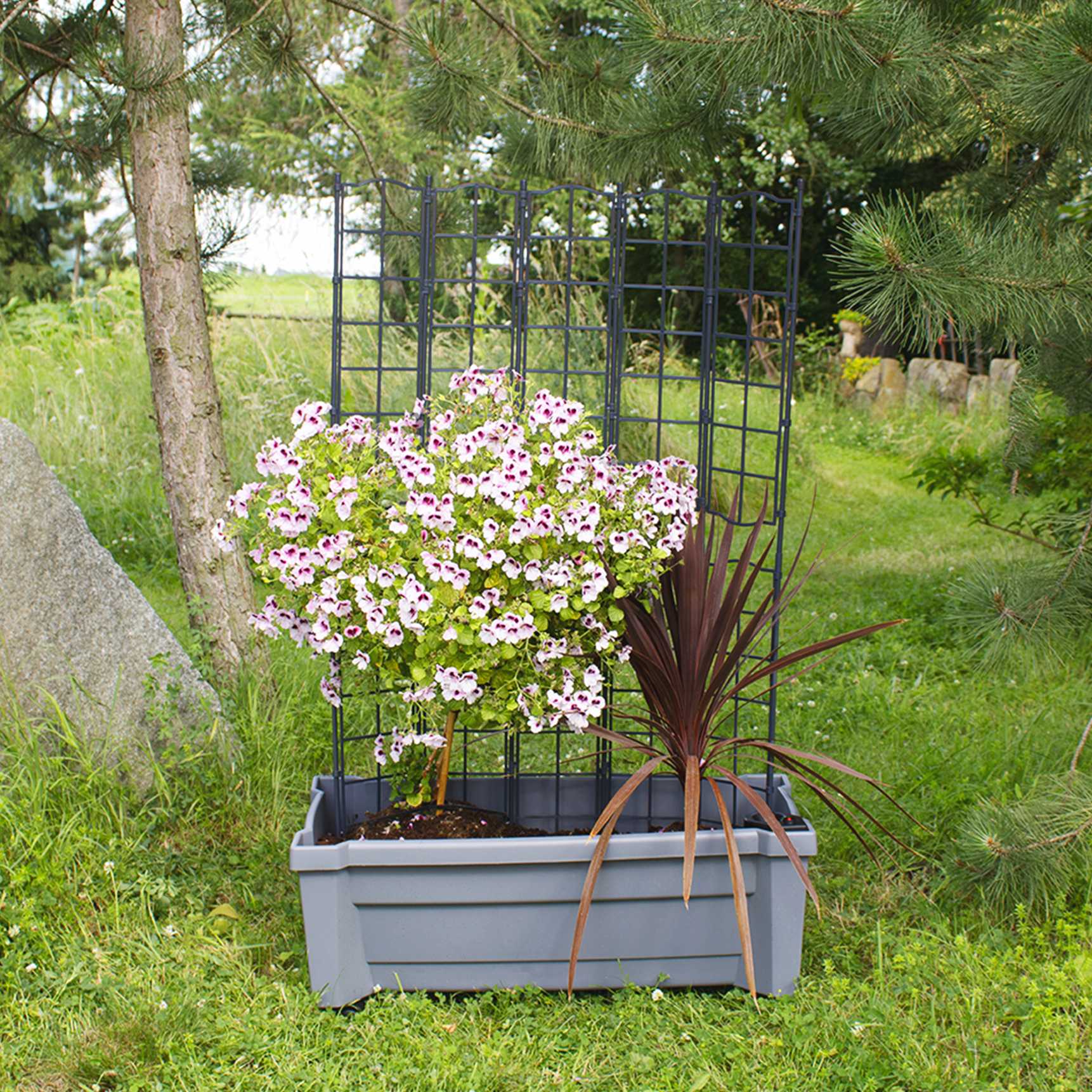 Planter box "Calypso" with watering system, modular trellis and wheels