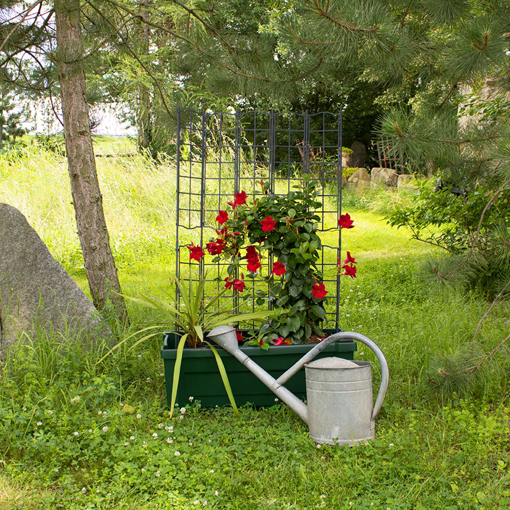 Planter box "Calypso" with watering system, modular trellis and wheels