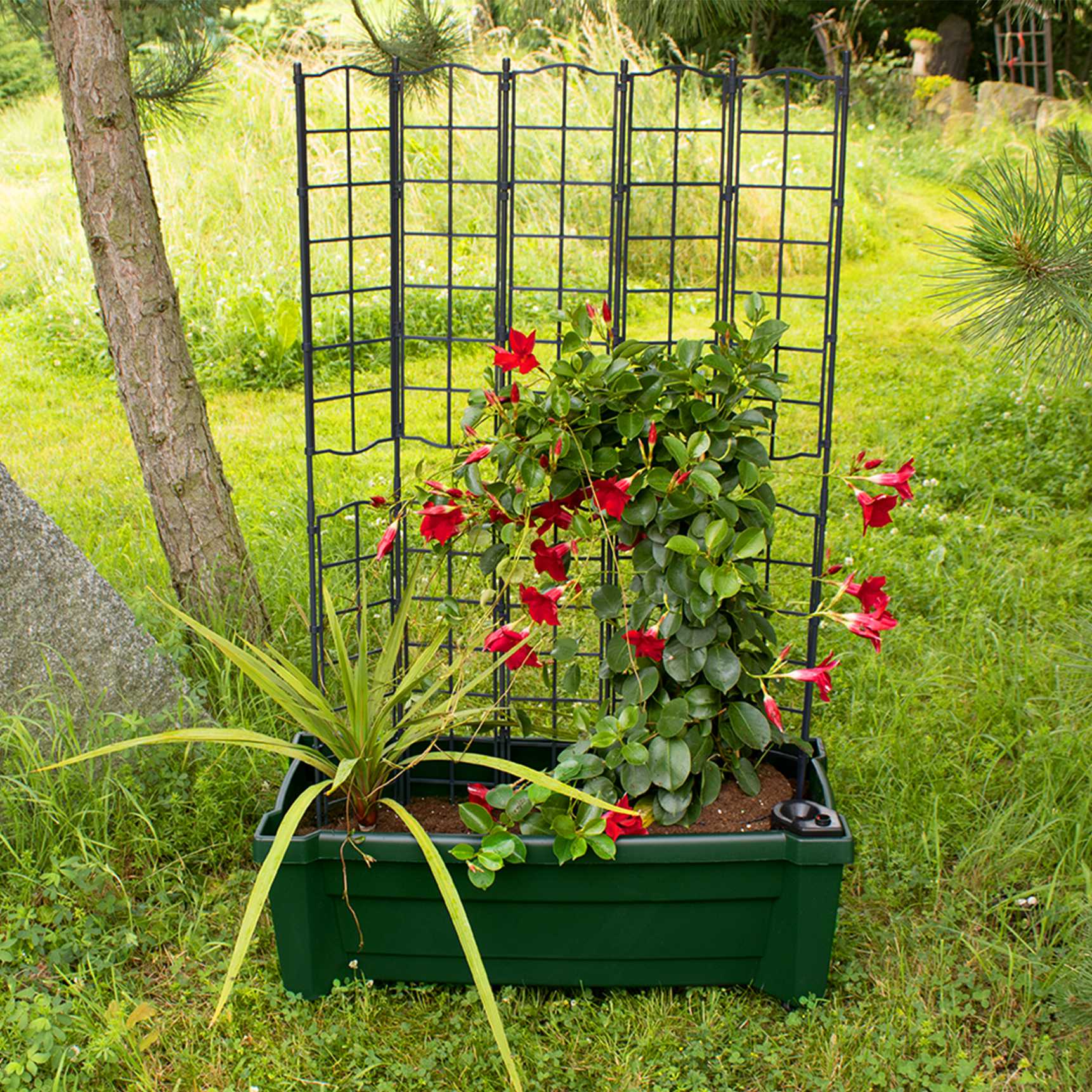 Pflanzkasten "Calypso" mit modularem Spalier, Bewässerungssystem und Rollen