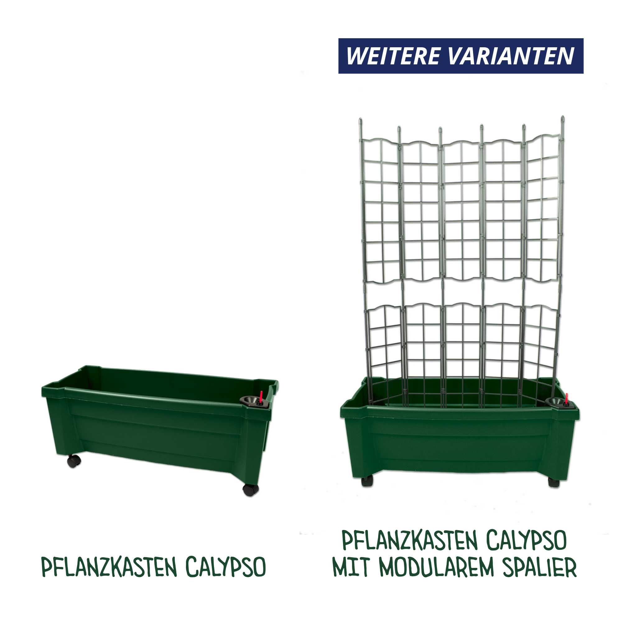 Pflanzkasten Calypso mit Spalier Pflanzkasten Calypso mit Spalier
