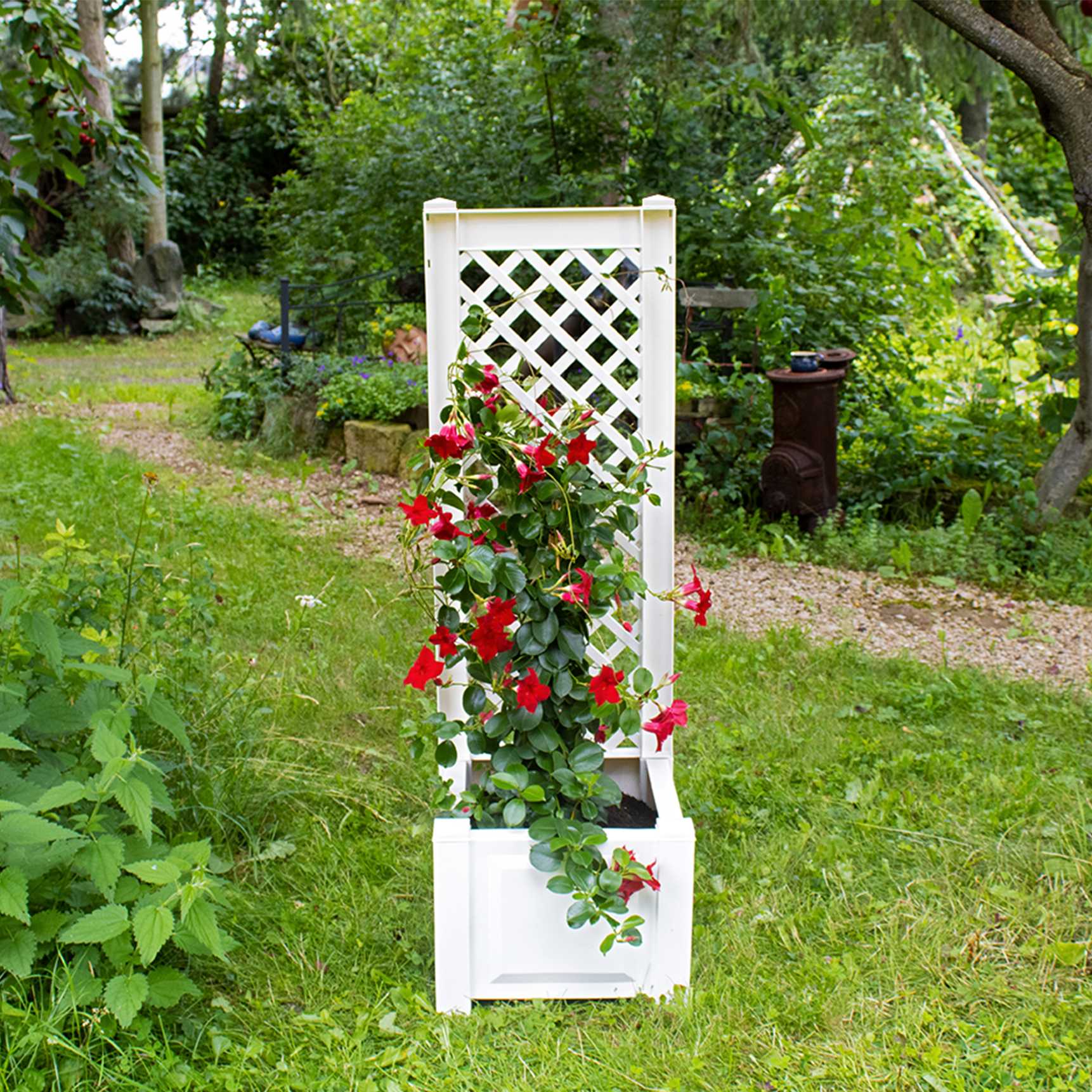 Small planter box with trellis, 43 cm