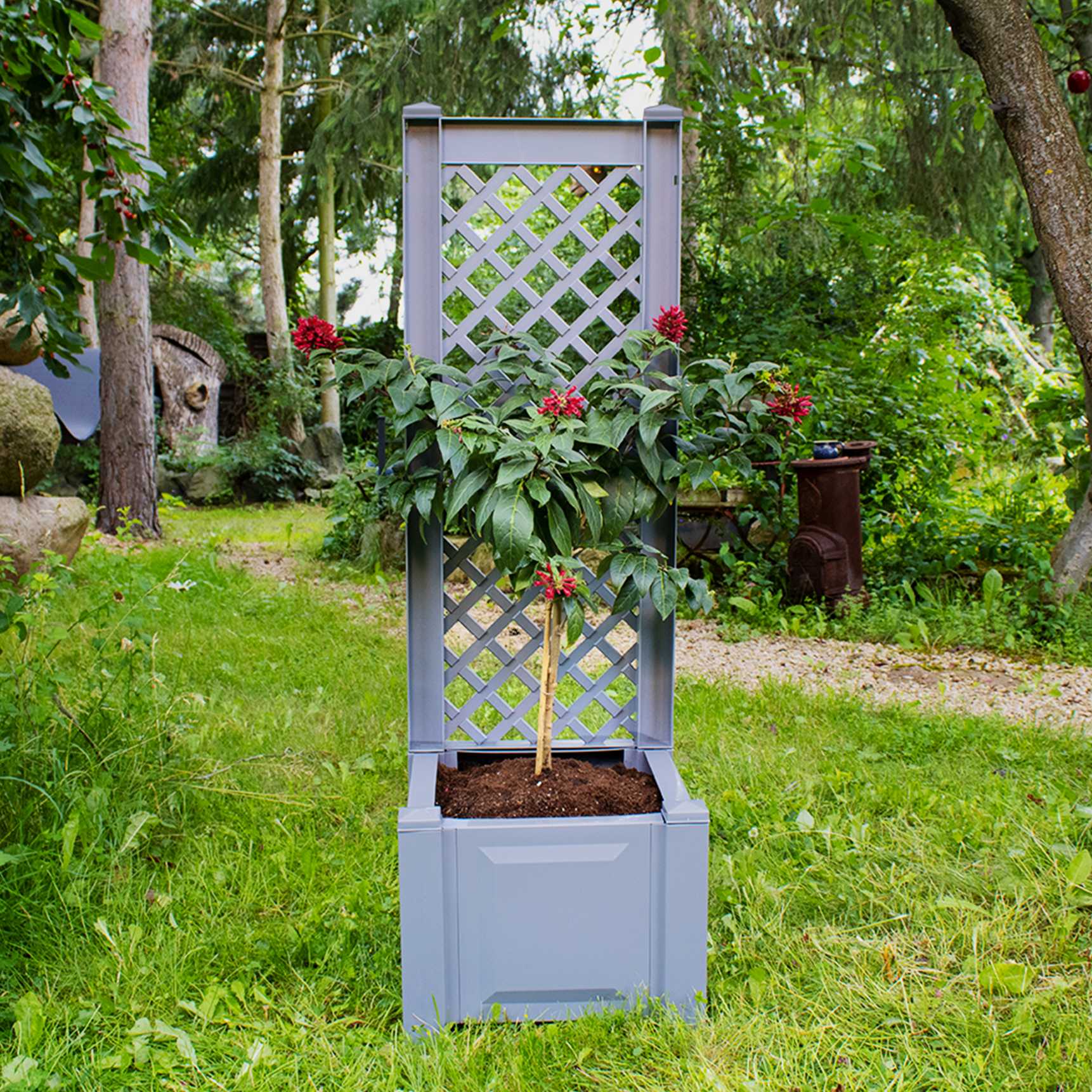 Small planter box with trellis, 43 cm