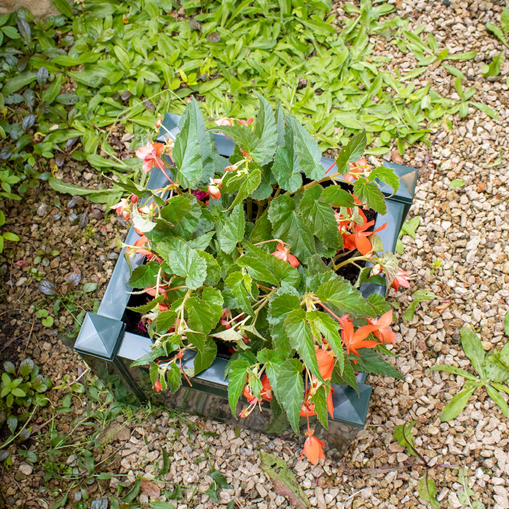 Square planter box