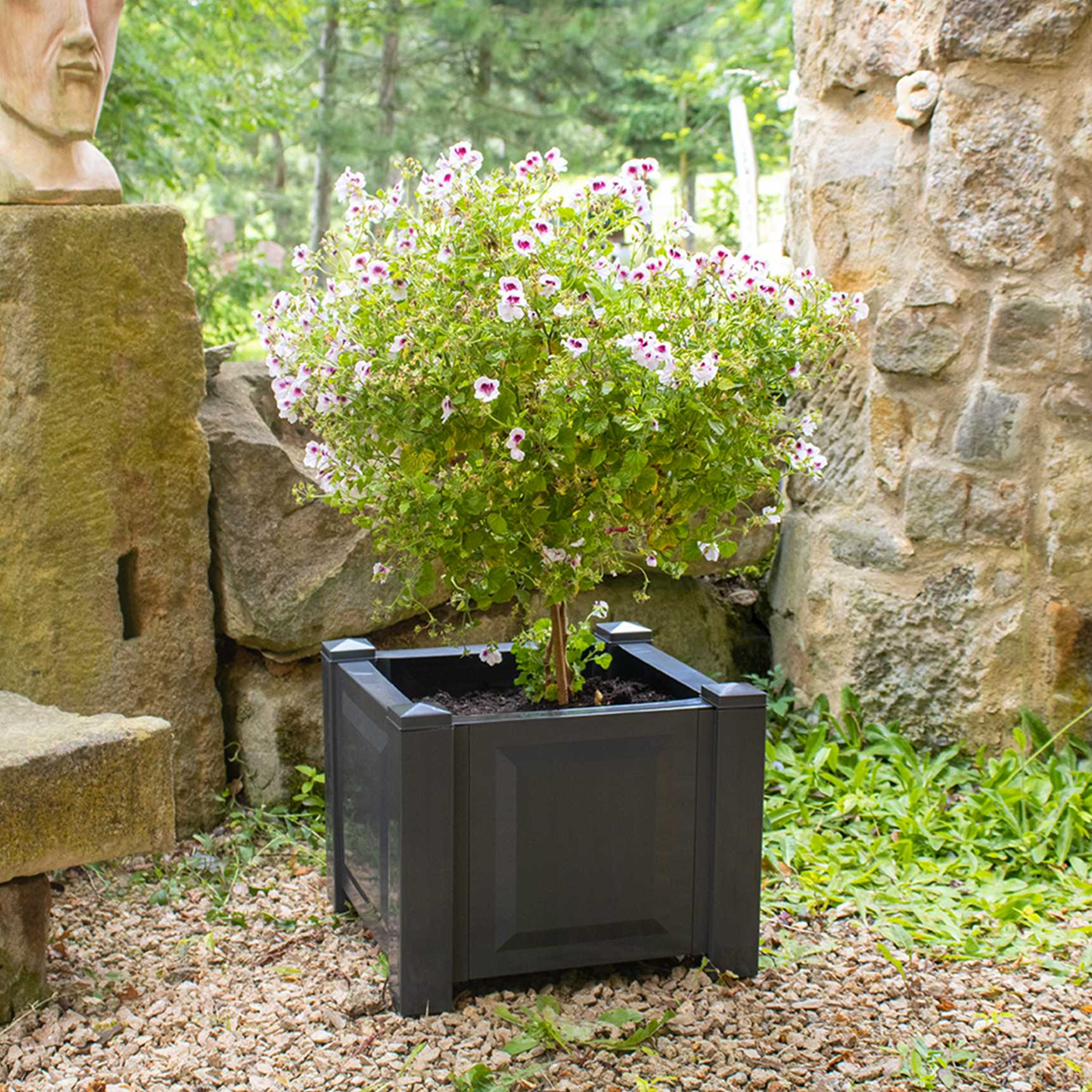 Square planter box