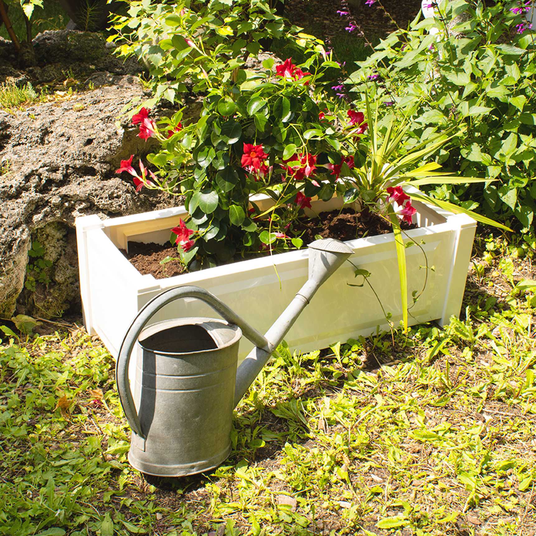 Rectangular planter box