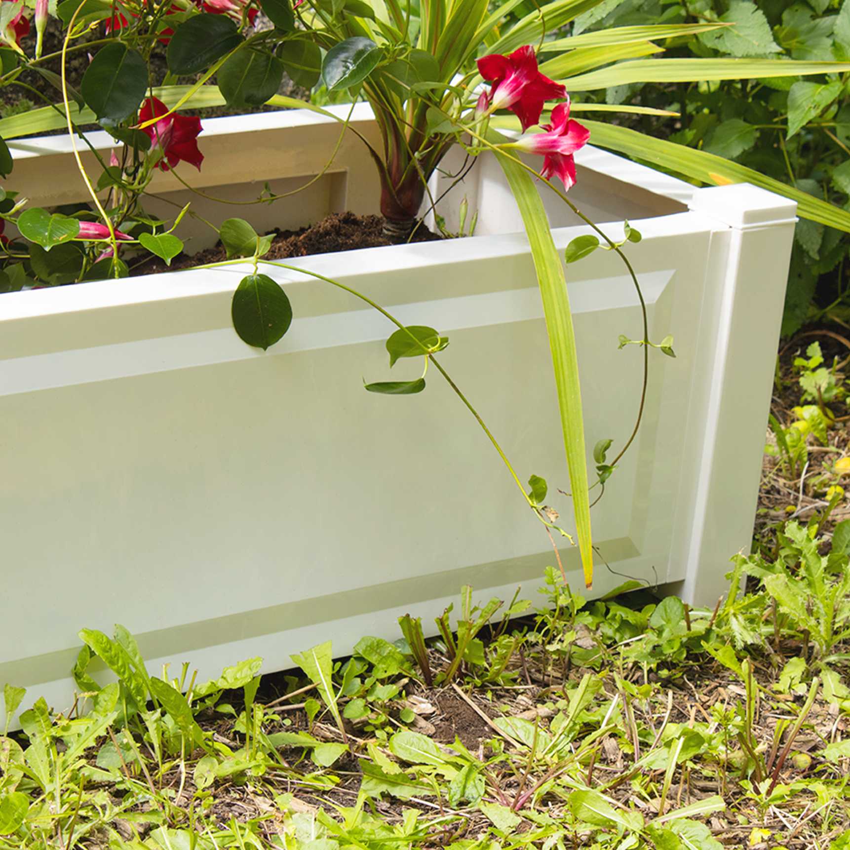 Rectangular planter box