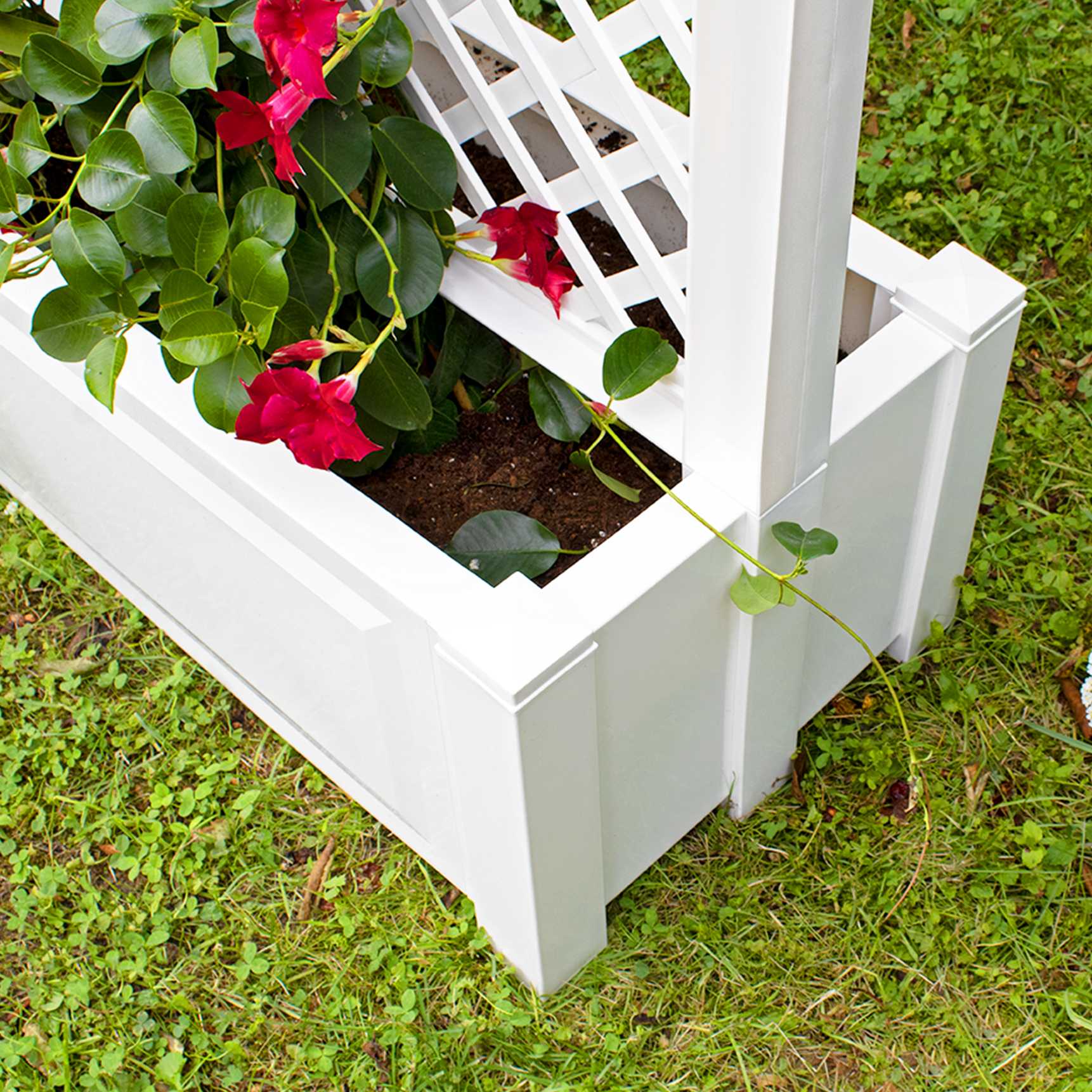 Large planter box with trellis, central 100 cm