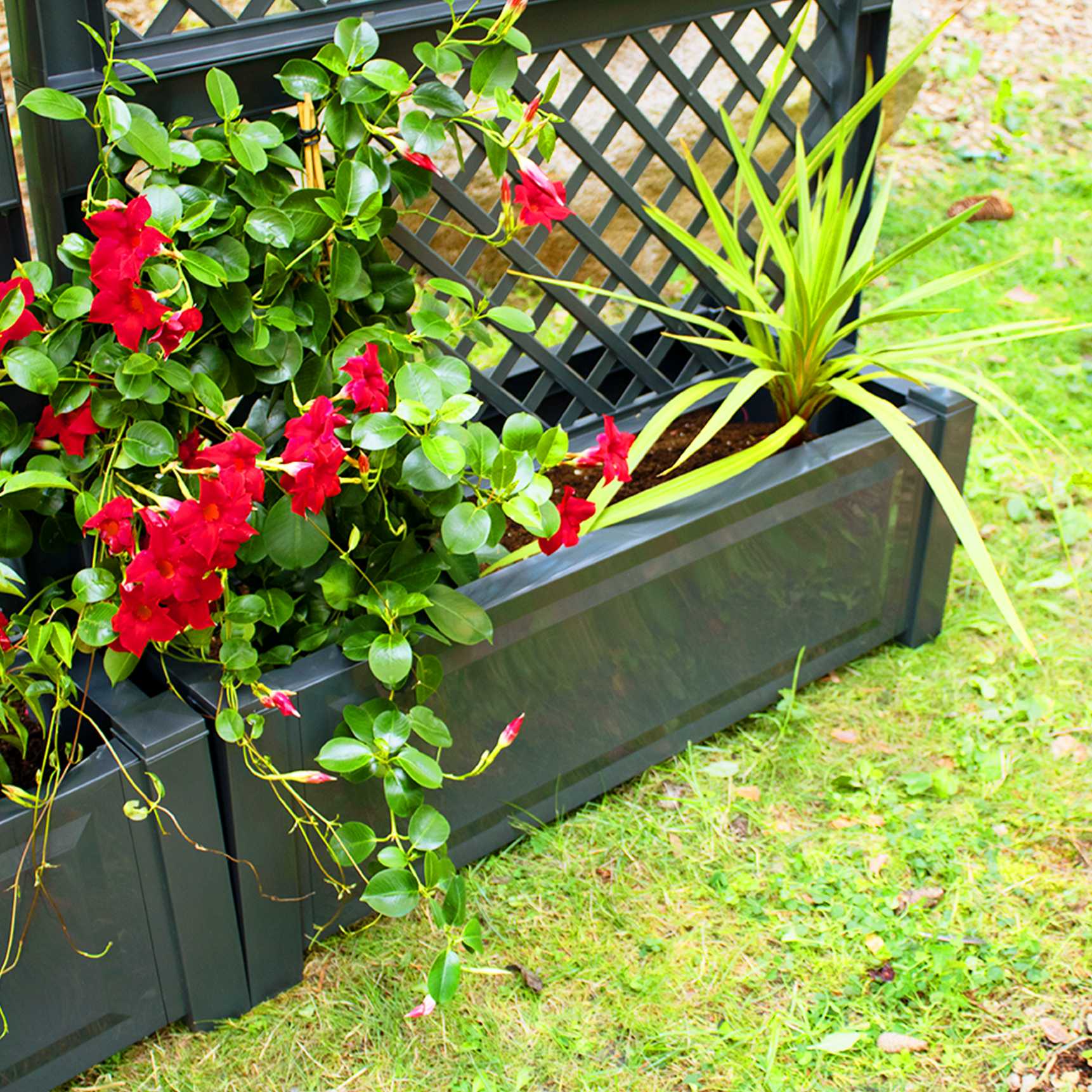 Set of 2 large planter boxes with trellis, central  100 cm