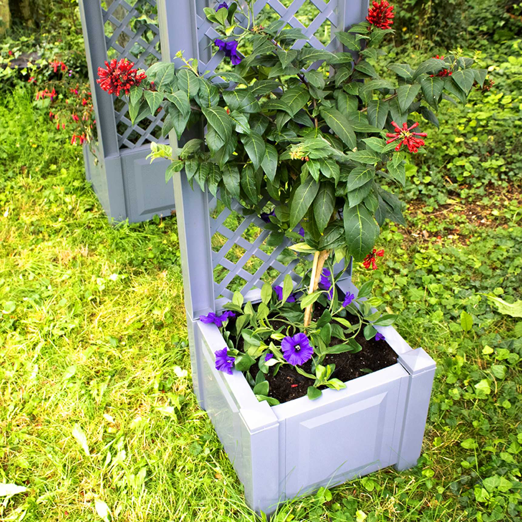 Rose arch with planter boxes