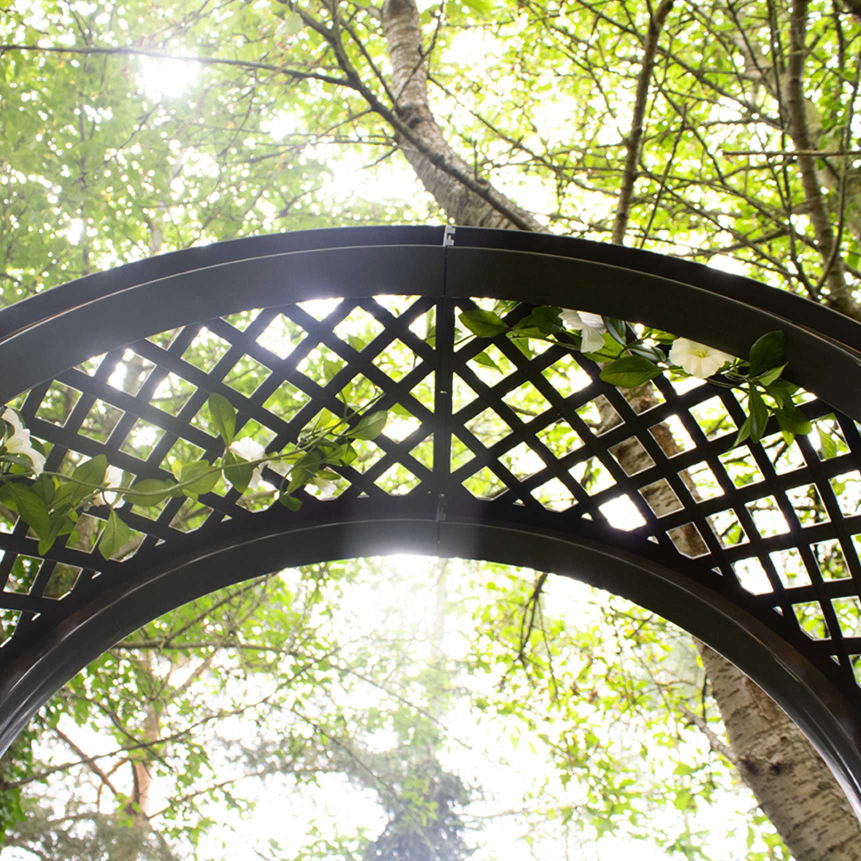 Rose arch with planter boxes