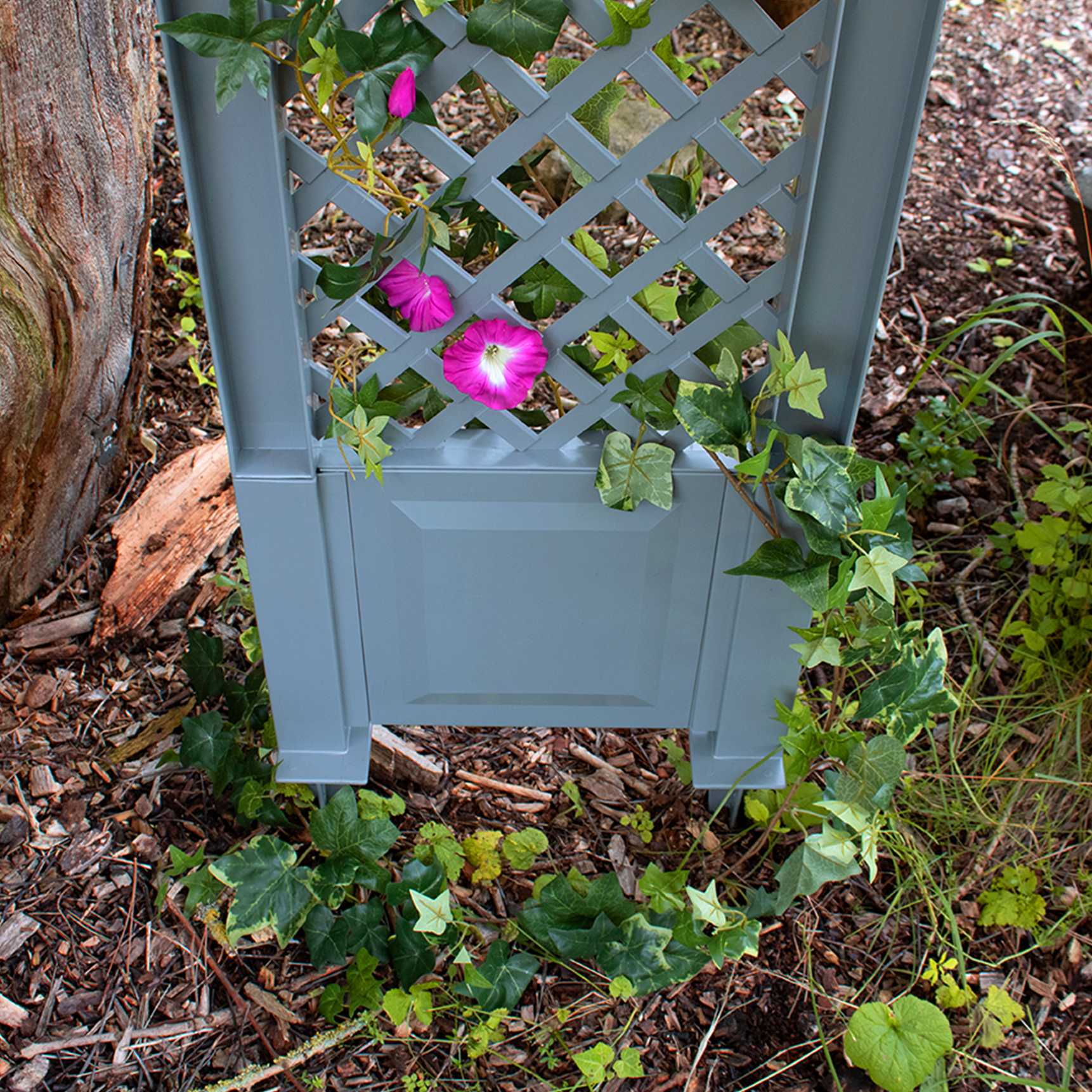 Trellis 43 cm with spike