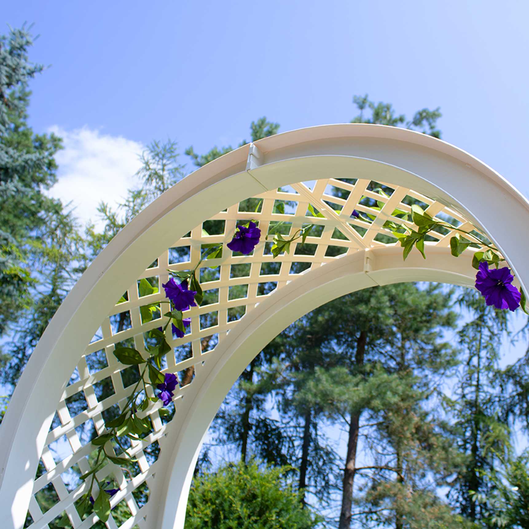 Rose arch with spike