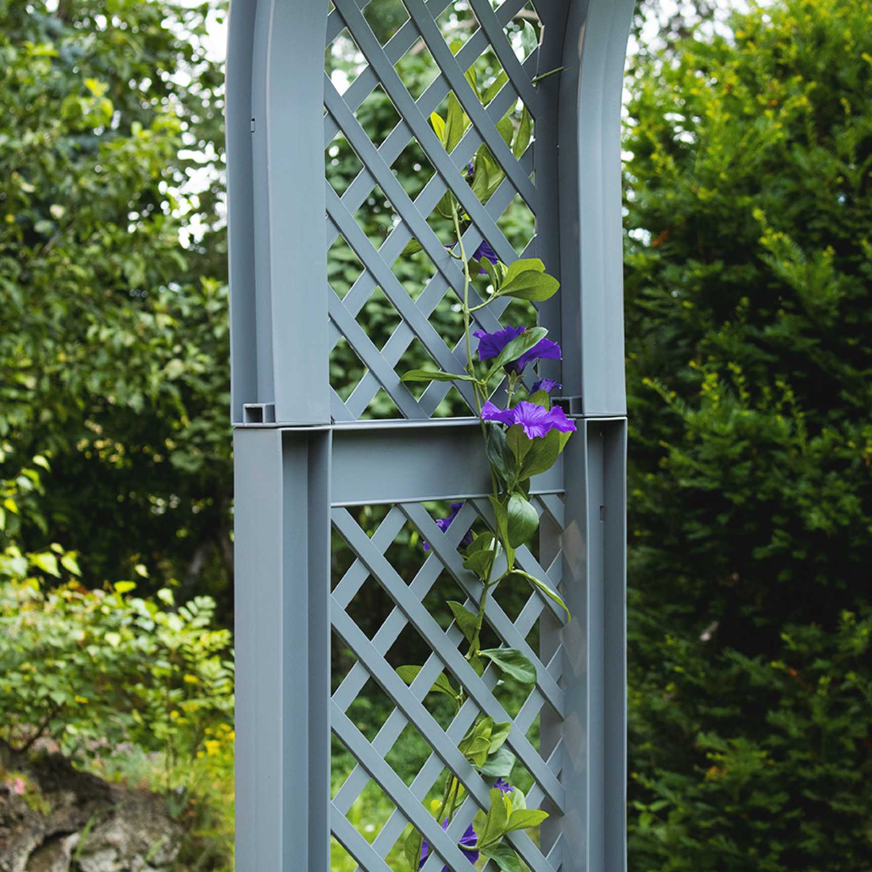 Rose arch with spike