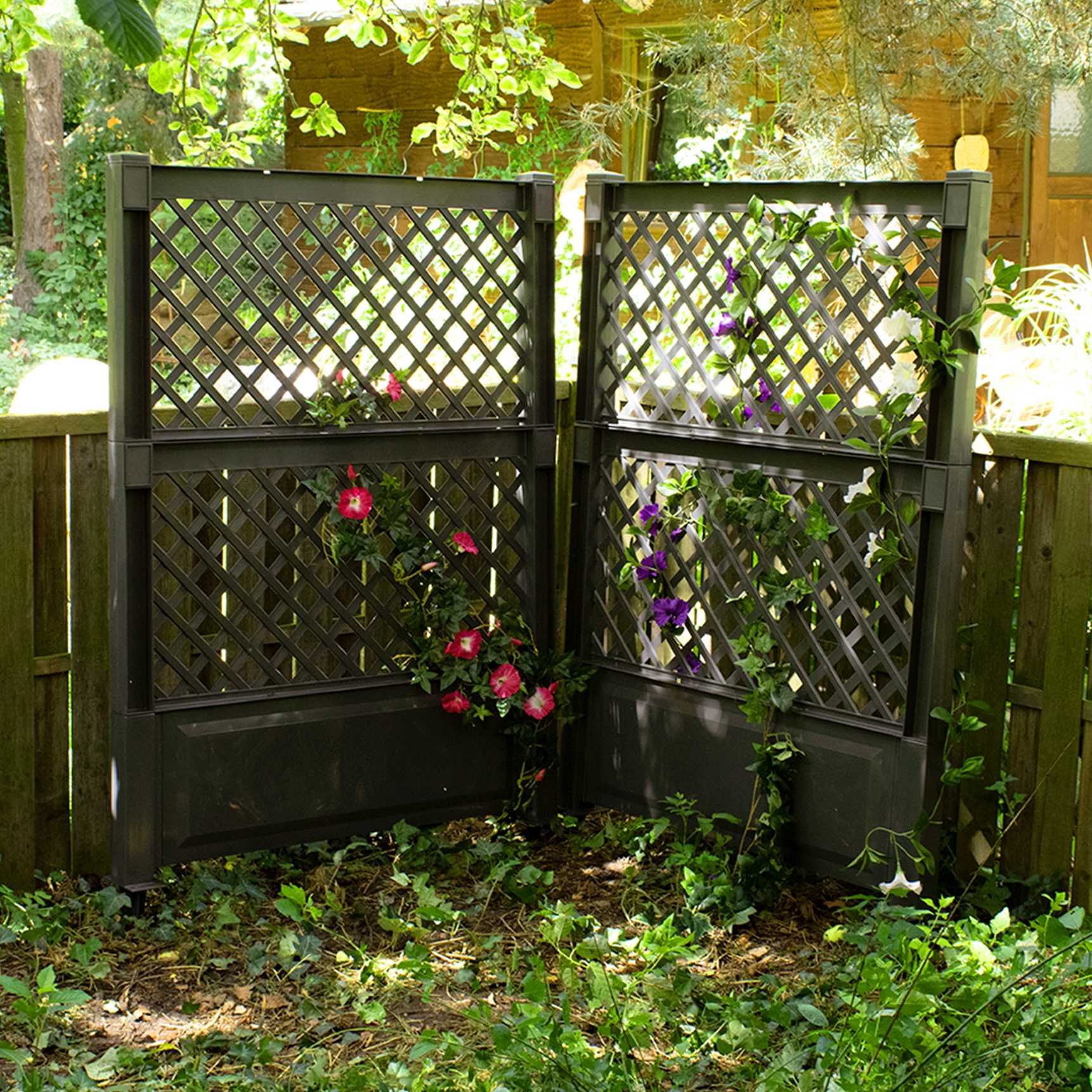 Set of 2 trellis 100 cm with spike