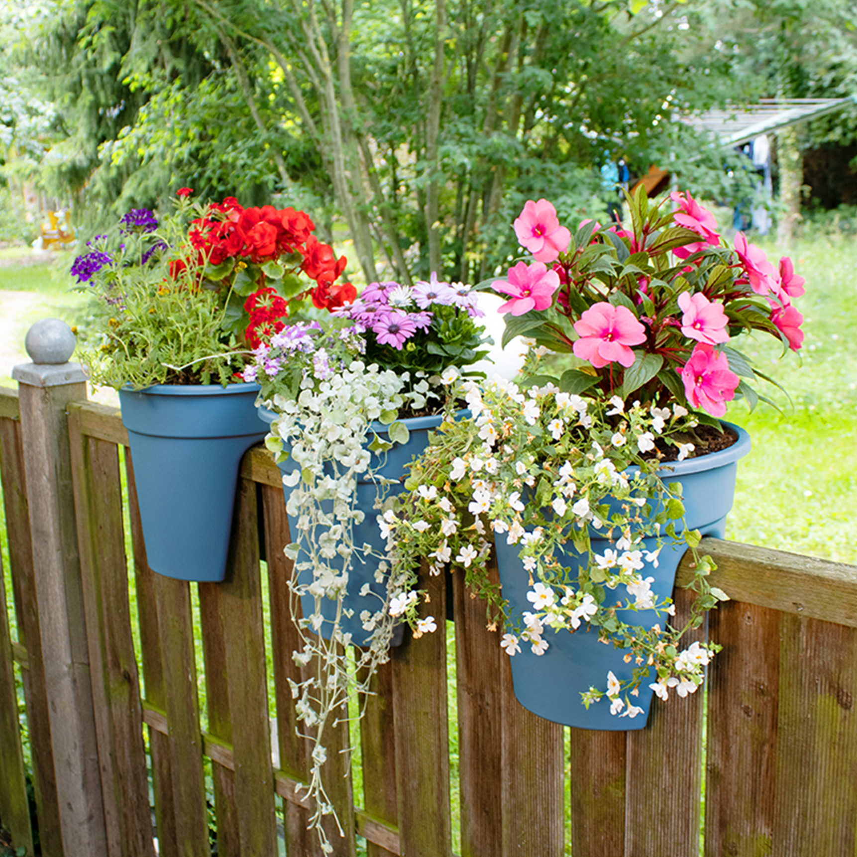 Flowerclip Set of 3