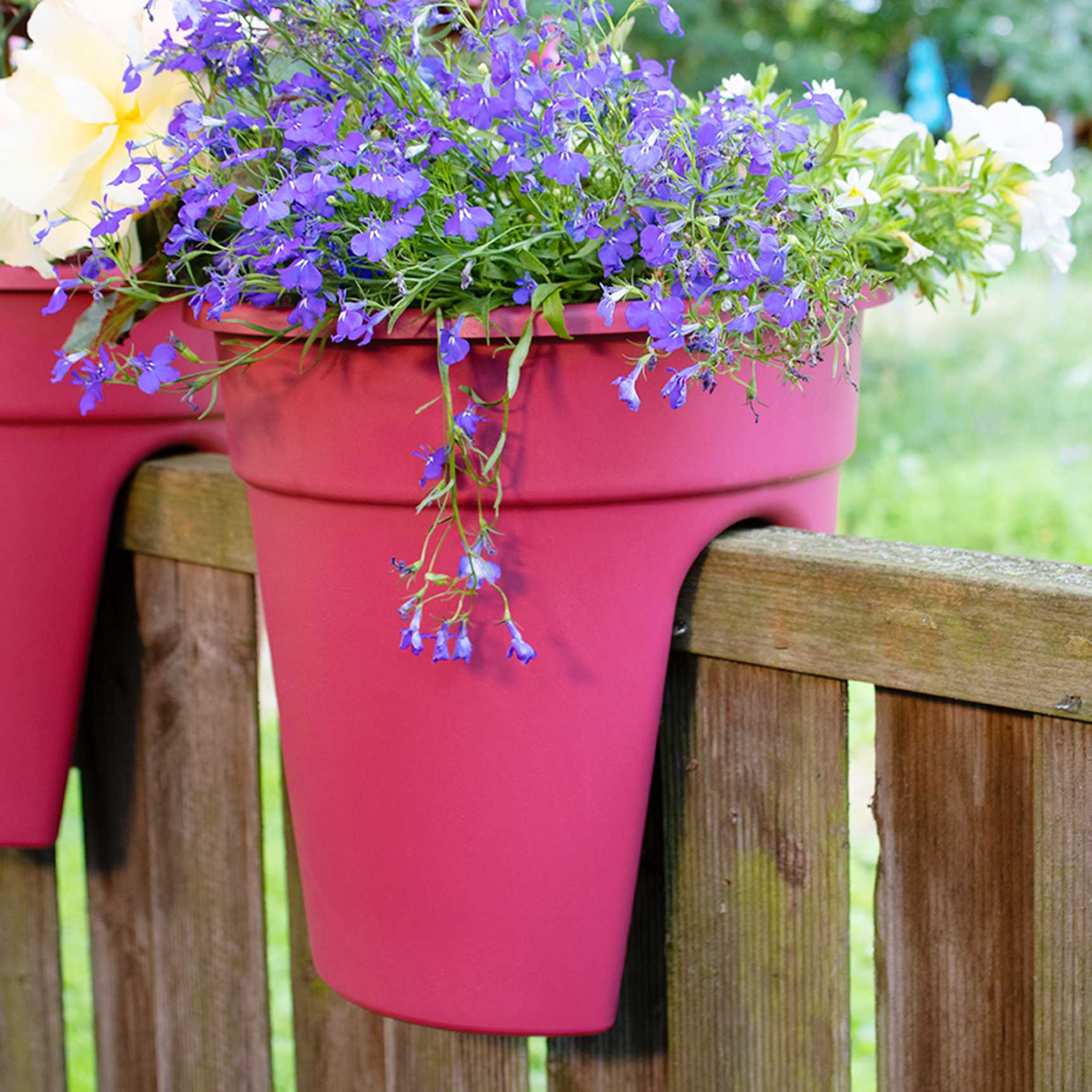 Flowerclip einzeln