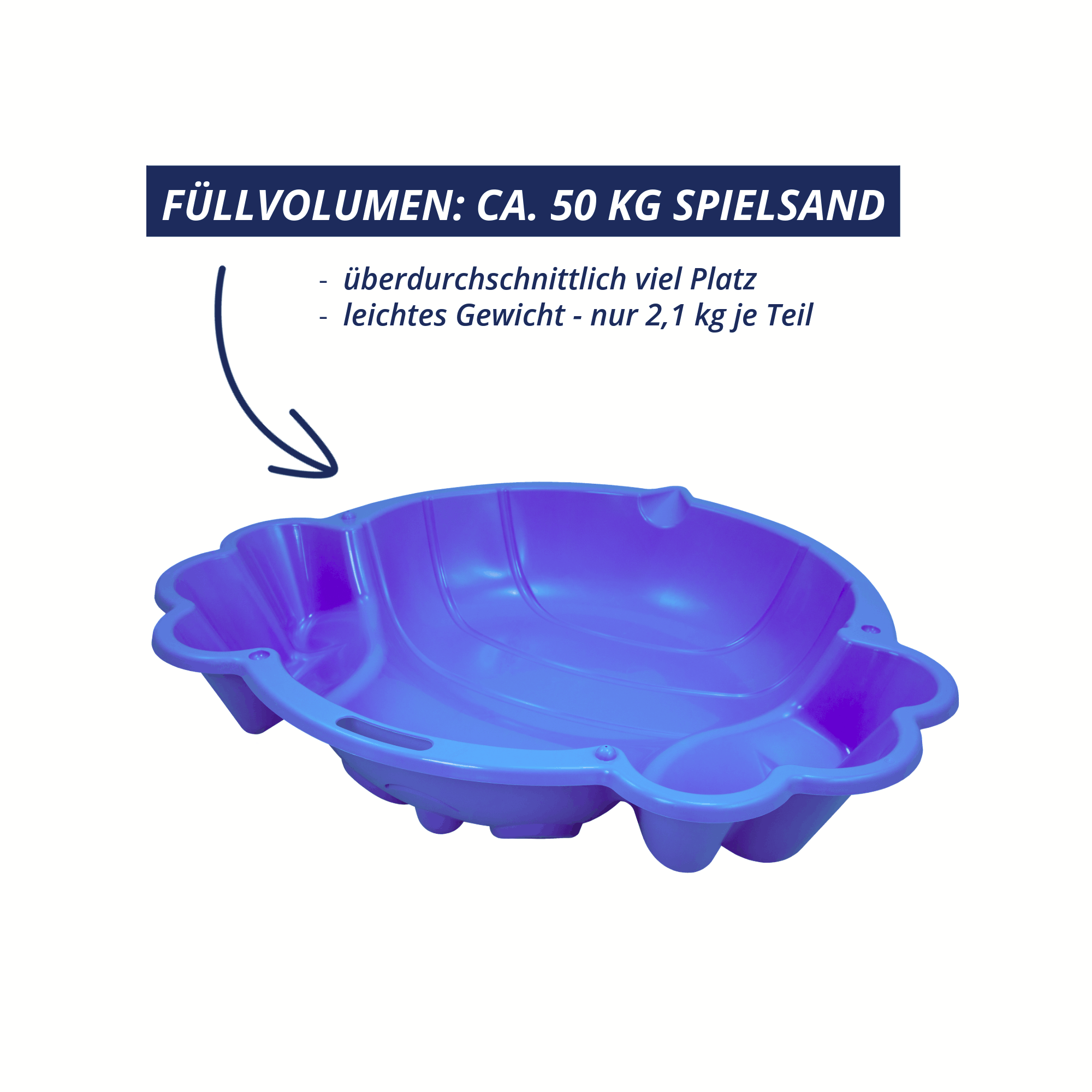 Sand- und Wassermuschel Beach Bee