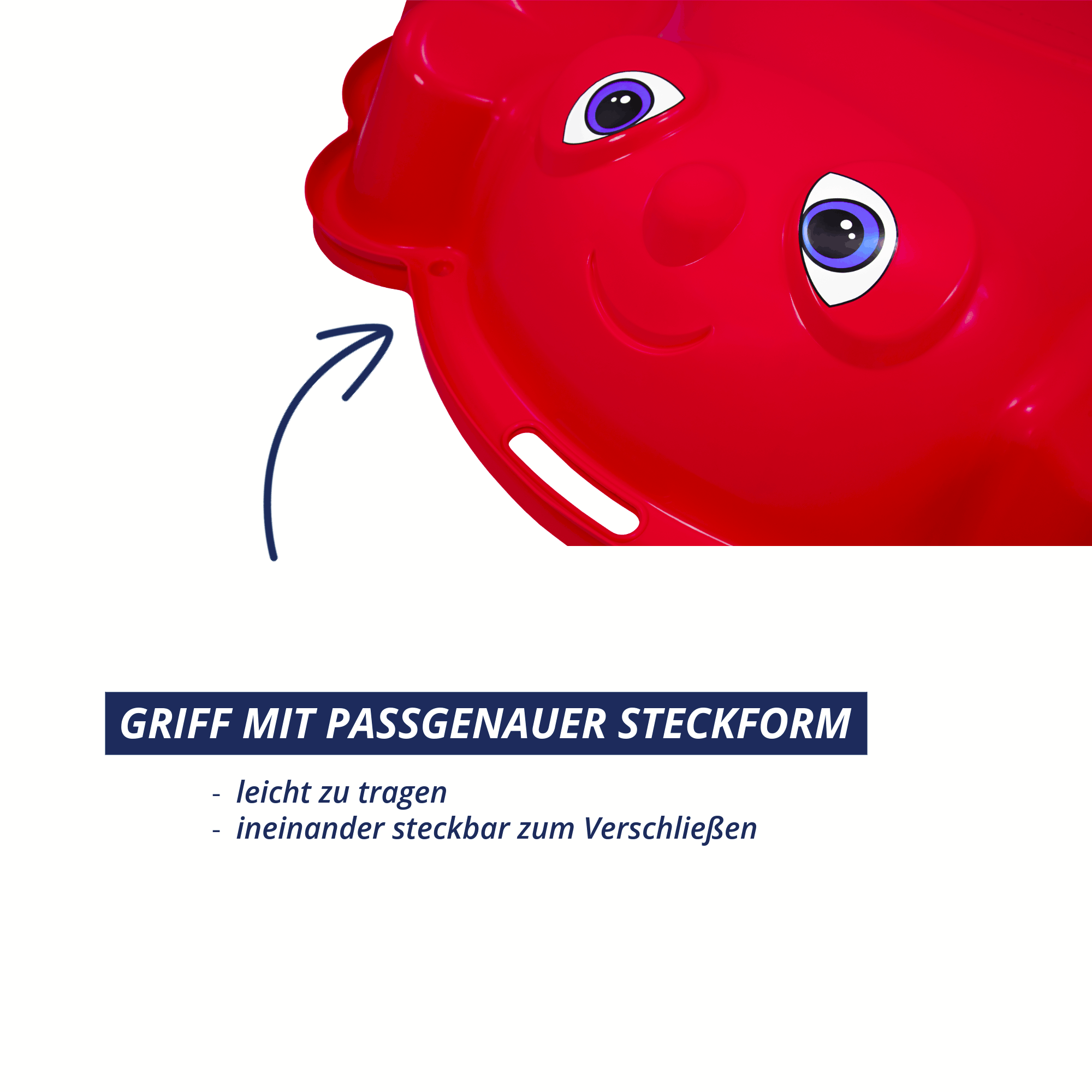 Sand- und Wassermuschel Beach Bee