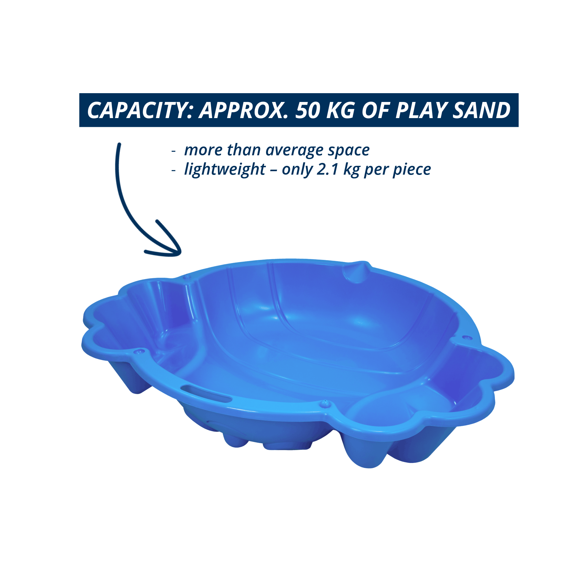 Sand and water mussel Beach Bee