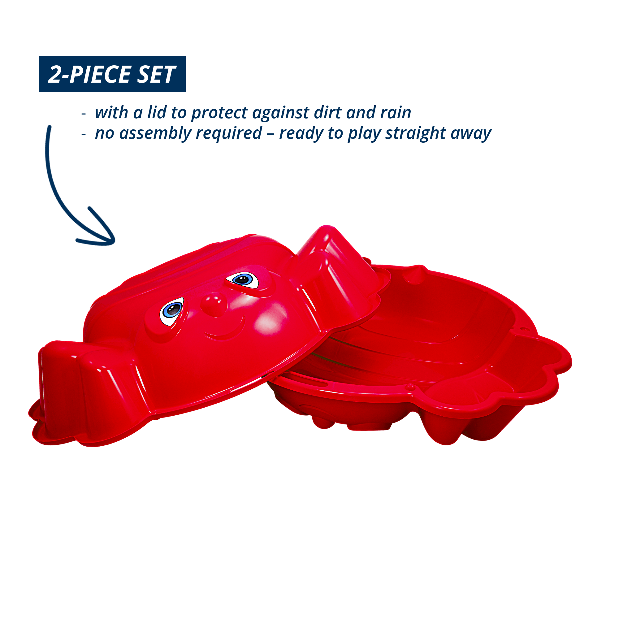 Sand and water mussel Beach Bee