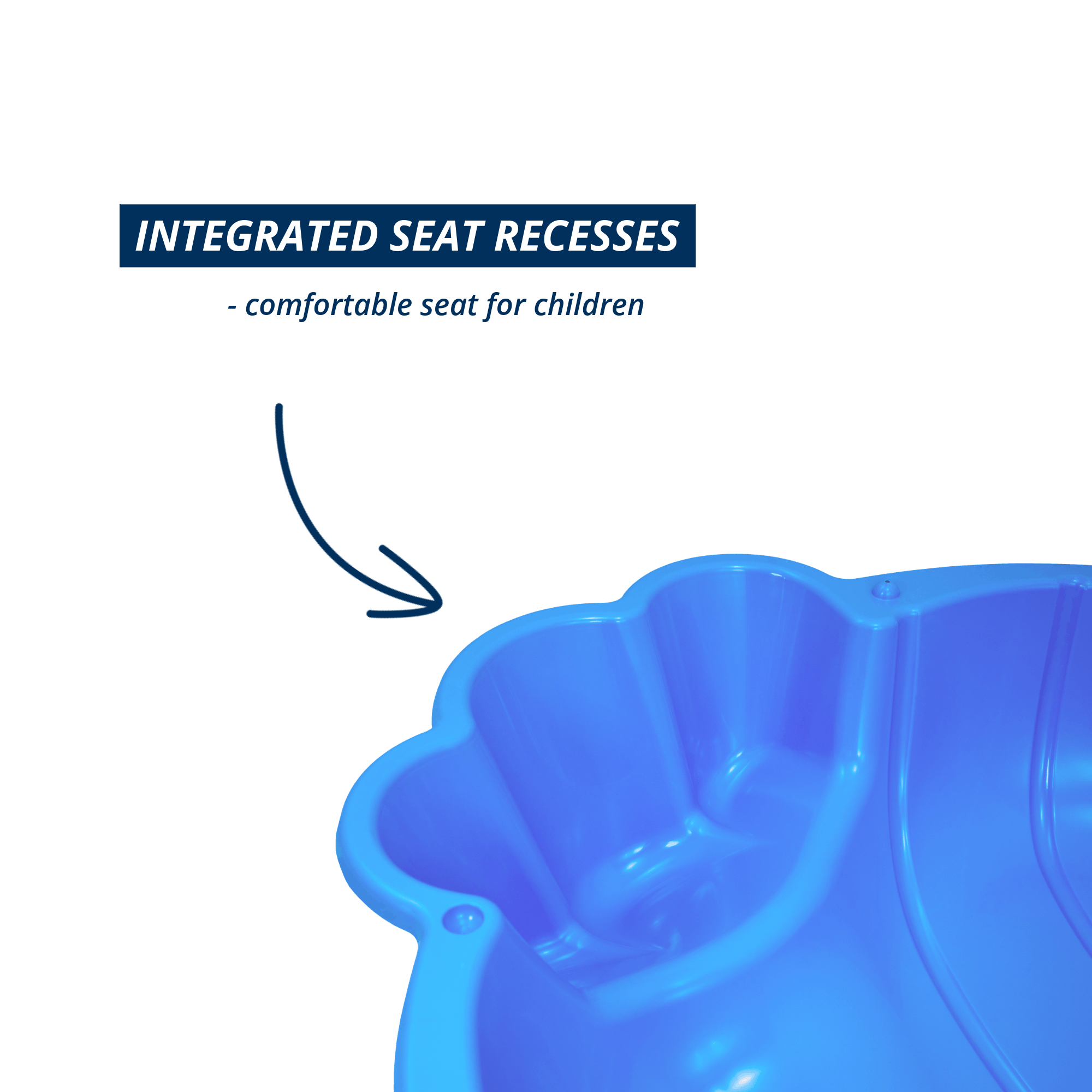 Sand and water mussel Beach Bee