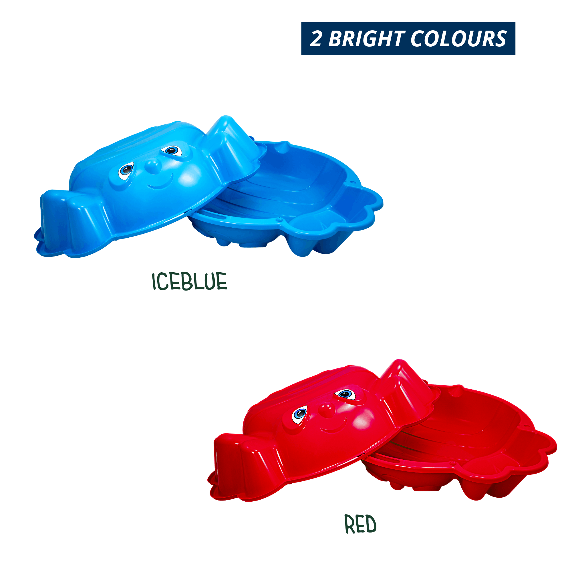 Sand and water mussel Beach Bee